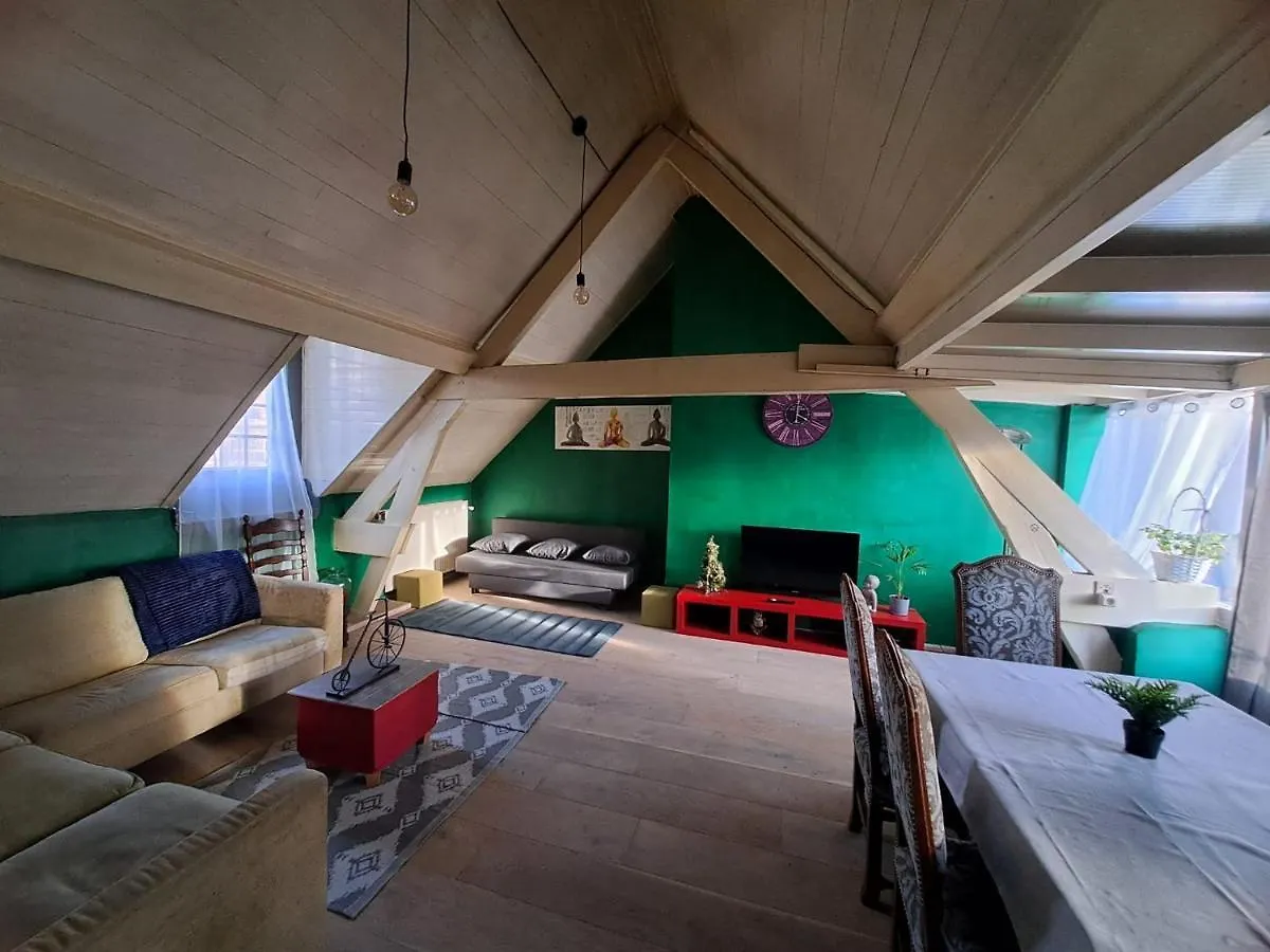 The Green Retromodern Duplex Lejlighed Antwerpen