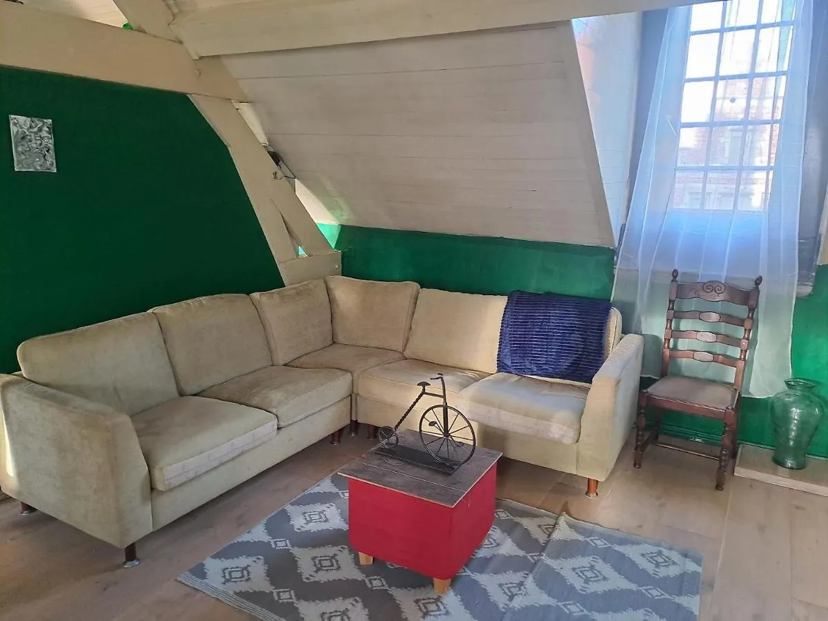 The Green Retromodern Duplex Lejlighed Antwerpen