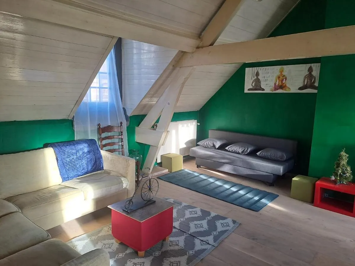 The Green Retromodern Duplex Lejlighed Antwerpen Belgien